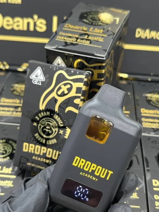 Dropout Academy Diamond Resin Disposable Mixed Box Case